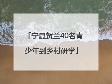 宁夏贺兰40名青少年到乡村研学